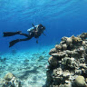 Meet your Posher, Maya